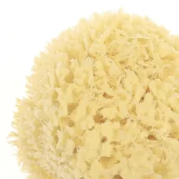 Spugna da Bagno Naturale Ø10-11cm 2